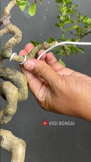 Still in the process of forming a Unique Tree