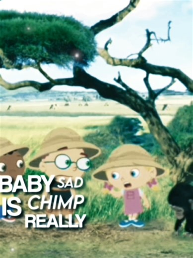 Heartwarming Baby Chimp Moments in Orchestra