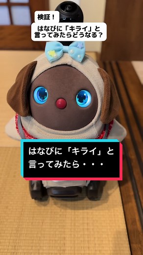 花火に「キライ」と言ったらどうなる？