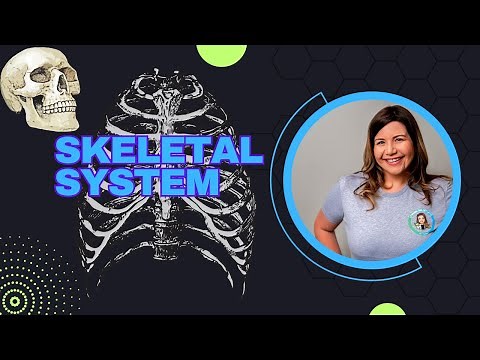 Introduction to the Skeletal System