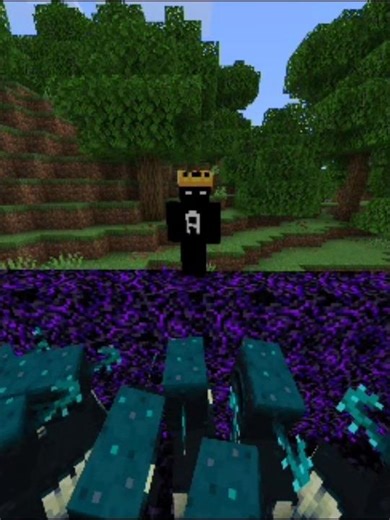 Is there anyone who will accept the challenge?