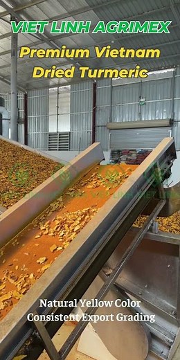 Turmeric Dried Sliced Processing Line | Vietlinh Agrimex | Spice Processing Factory in Vietnam
