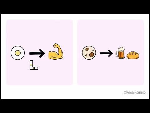 Pyruvate Metabolism in Detail | Link Reaction, Fermentation & Gluconeogenesis