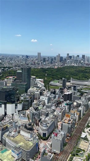 Shibuya Crossing from Above 🔥 Tokyo Iconic View #tokyoviews #shibuyascramblesquare #shorts