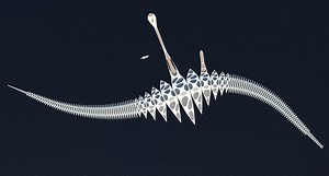 695K views · 2.4K reactions | Here's what floating homes could look like in the future. | Insider Tech Presents | Facebook