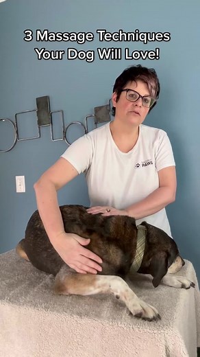 3 Massage Techniques Your Dog Will Love!