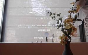被降速的清晨｜插播一条mini vlog