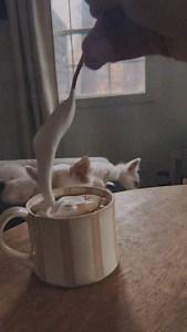 New obsession unlocked mocha with Swiss meringue topping ☕️ #coffeeoftheday | Milk & Honey Homestead