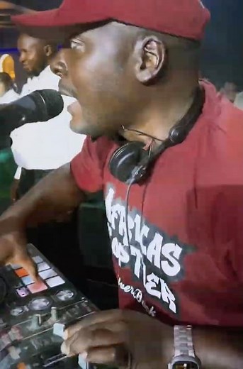 VALENTINES VIBE: SILVERBACK