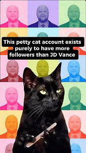 ✨ PROGRESS UPDATE 😹💅💅💅 ⬇️ 💅@catsonacouch - 1,072,000 ✅ @ senatorvance - 285K✅ ⏭️ Next up: @ jdvance - 1.8M ⏭️ After that: @ vp - 15M 🏁 Finally: cat world domination 🌟😼😼😼 The whole point of this account is to have more friends than JD Vance 💅 and to make sure he doesn't know a moments peace for the next 3.5 years (at least) . . #cats #catsonacouch #explore #fypreelsシ゚viralシ | Cats on a Couch