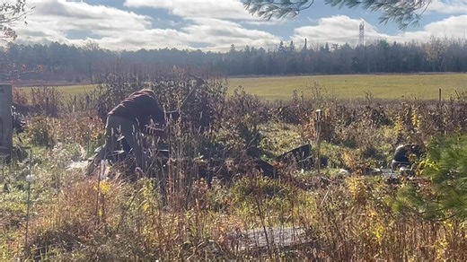 Tulip bulb planting in process | Marshdale Farms