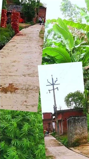 Vlog Video and Background music | beautiful Pictures #minivlogs #vloggerlife #backgroundmusic