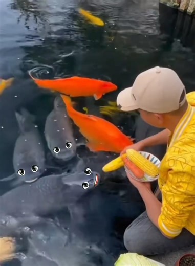 Hilarious Fish Fails That Will Make You Laugh