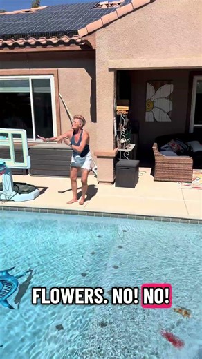 Reinactment of real life event #fun #pool #funny #bees #bugsbunny