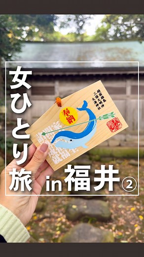 なお@女ひとり旅 on Instagram: "【福井②】東尋坊と雄島で日本海に揉まれるツアー2日目 ⠀ ⠀ この日は朝から雄島へ。 生憎の悪天候で海がすごく荒れてたり 吹き飛ばされそうなほど風が吹いてたんだけど 島の中に入るとピタリと風が止んで 『神の島』と呼ばれる所以がわかりました。 ⠀ 前回ちゃんと見れなかった クラウン・シャイネスも見れて良かった！ 動画には載せられなかったんだけど、 大湊神社の前で見れるので 行った人はぜひ見てみてください。 普通は熱帯雨林でしか見られない現象なので 日本で見れるのはかなり貴重らしいです。 ⠀ 雄島の見えるレストラン『おおとく』で ランチを食べたあとは東尋坊へ。 この日の東尋坊はかなり波が激しくて これはドラマでよく見るやつだ…！ と興奮しました。 崖の先まで行ってみたけど かなり怖くて足がすくみました。 ⠀ 2日間、福井県坂井市の文化、グルメ、 大自然を堪能できて大満足のツアーでした🙆‍♀️ ⠀ ⠀ 𓂃𓂃𓂃𓂃𓂃𓂃𓂃&