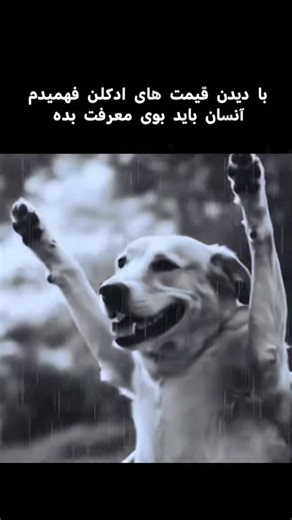 ‎سکوت‌سرد🖤‎ on Instagram‎: "علی جان دیگ از ادکلن من حق نداری استفاده کنی😂😒 This video captures a lively street scene at night, featuring the rapper Future and his entourage enjoying themselves and dancing to music. The high energy of the group is immediately apparent, with everyone dressed in dark, bulky winter coats and clearly in a celebratory mood. However, one individual in the background, to the right of the frame, introduces a very memorable element to the scene. This person is seen hol