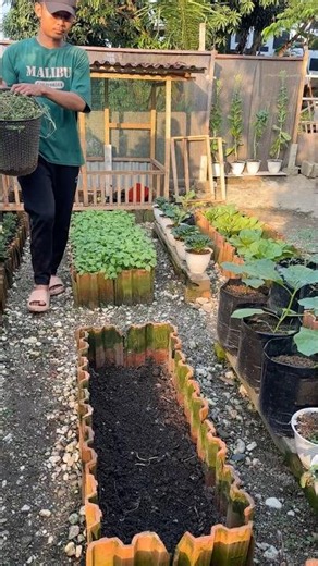 The Secret to Growing Healthier Plants in Raised Beds #backyardgardening #gardening