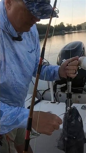 The fishing is slowly getting better and better, but man it’s hot!!