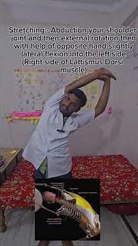 Therapeutic stretching for Lattismus Dorsi muscle #Lattismus_dorsi_muscle_stretching #therapeuticex.