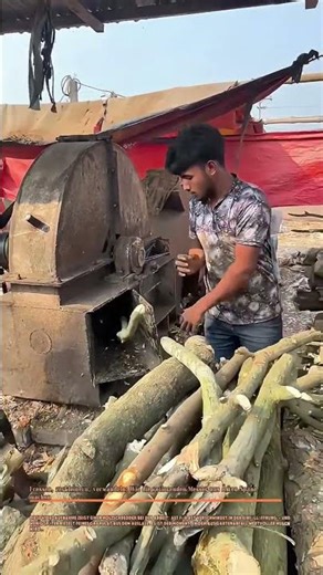 Fressen, zerkleinern, verwandeln: Wie die rotierenden Messer aus Ästen Späne machen