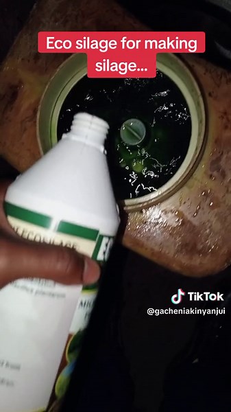 Eco-Friendly Silage Making Process in Kenya