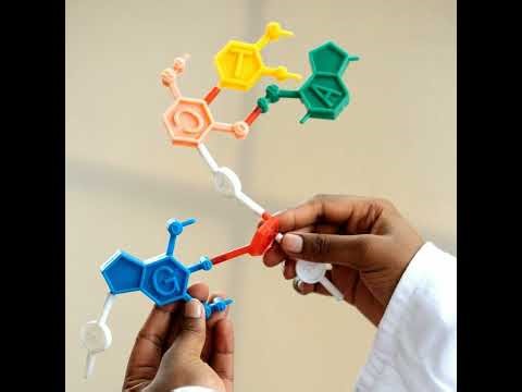 Design Biomolecular Circuits, with Dr. Xiaojing Gao