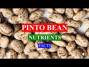 PINTO BEAN - HEALTH BENEFITS AND NUTRIENTS FACTS