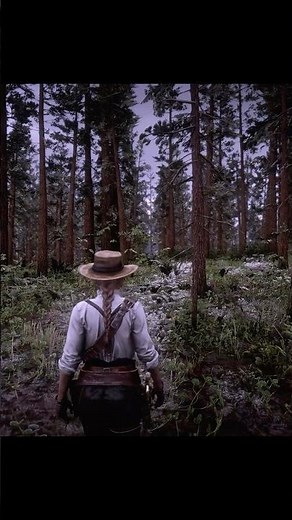 Red Dead Redemption 2 ➤ Photorealistic ReShade MOD