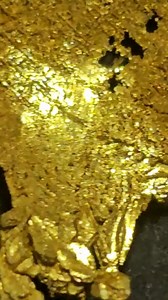 Check out this insane gold specimen from Round Mountain Mine, Nevada!#GoldNugget #RoundMountainMine #NevadaGold #GoldRush #TreasureHunting #RareFind #GoldCollectors #MineralMagic | Goldbay Private Reserve