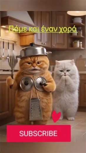 αστείο βίντεο με γάτες!! #cats #viral #funnycats #catlife