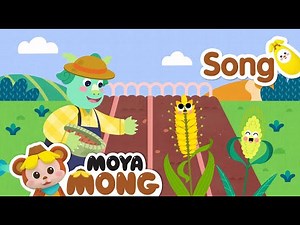 밀과 보리가 자란다｜🎵 보고 듣는 재미동요｜아기동요｜재미동요