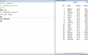 sas基本操作-数据集的抽取