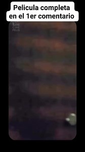 Película completa en el 1er comentario #ReelsViral #Trending #FYP #CineLovers #EscenasDePeliculas #LoMejorDelCine #CineAdictos #ReelsLatinos #ParaTi #EscenasQueMarcan #EscenasImpactantes #ReelsHoy #Explorar #MovieReels #ReelsVirales #CineTime #Wow #MomentosDeCine #ReelsEnEspanol | Movie Time