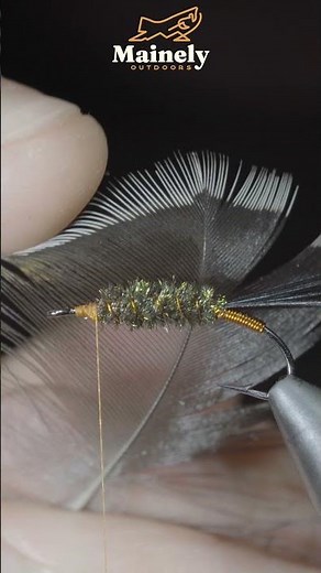 100-Year-Old Fly Still Catches Fish!