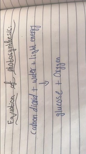 Word Equation of photosynthesis