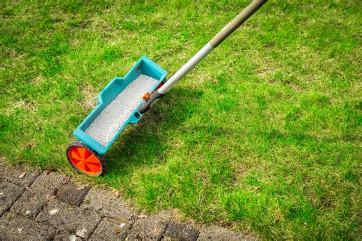 Spring fertilizing – when to start feeding your lawn after winter