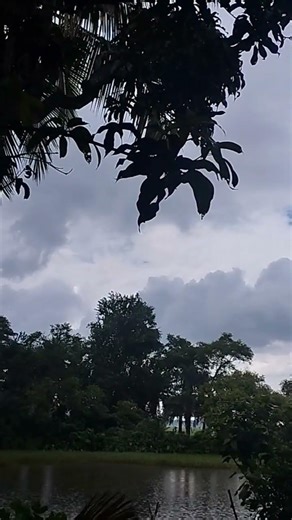 কবে পাবো তোমার নিমন্ত্রণ😊?#miftasphotography1210 #viral #youtube #short #reel #view #rain #nice #wow