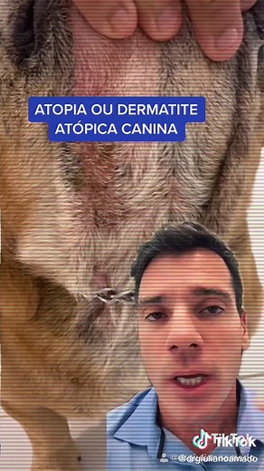 Atopia Canina: Entenda a Dermatite em Cachorrinhos