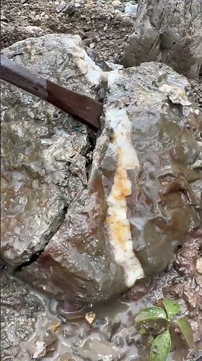 gold prospecting for beginner ✅🧽
