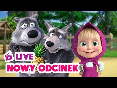 🔴 LIVE✨ Nowy odcinek ✨ Ananas niezgody 🍍 Masza i Niedźwiedź ⚡ NA ŻYWO