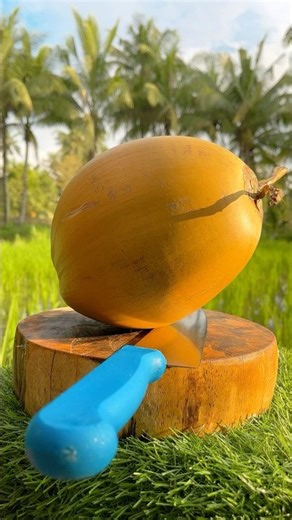 This Coconut Is So Crispy and Soft 😍