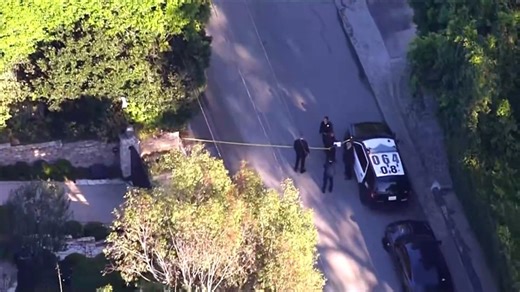 Woman shoots at Rihanna's L.A. home with AR-15-style rifle; no injuries reported, police say