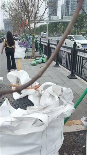 Inject saline in Tree in CHINA 🇨🇳 #china #travel #importexportchina #kolkatachina