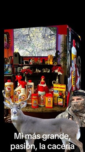 Cacería de venados, ￼￼￼