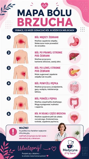 Mapa Bólu Brzucha Czy Wiesz Co Oznacza Twój Ból?