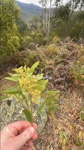 Spring is here #nature #hiking #travel