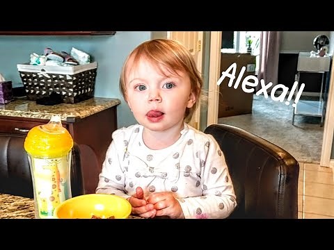 Funny Baby Video - Baby Talking to Alexa | Baby Trying to Get Alexa to Play Baby Shark