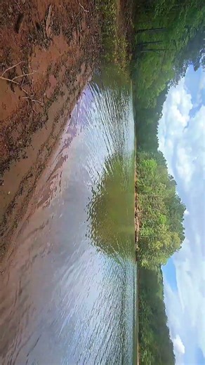 West Point lake Yello Jacket access