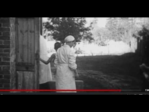 The nazi gas chambers