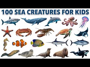 100 Sea Animals for Kids | Learn Sea Animals Names | Sea Creatures for Kids | Types of Sea Animals